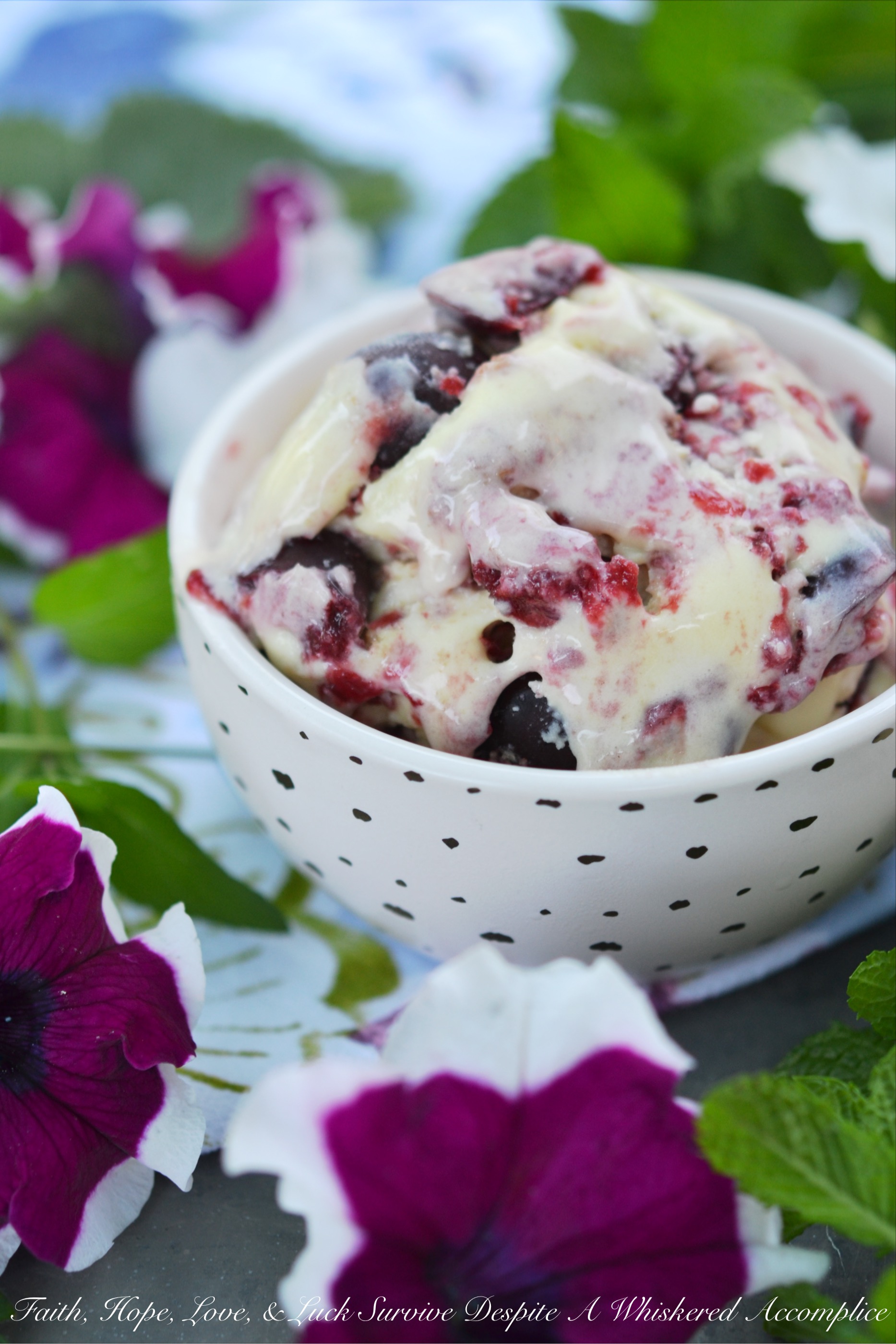 Cherry Graham Cracker Pie Frozen Custard