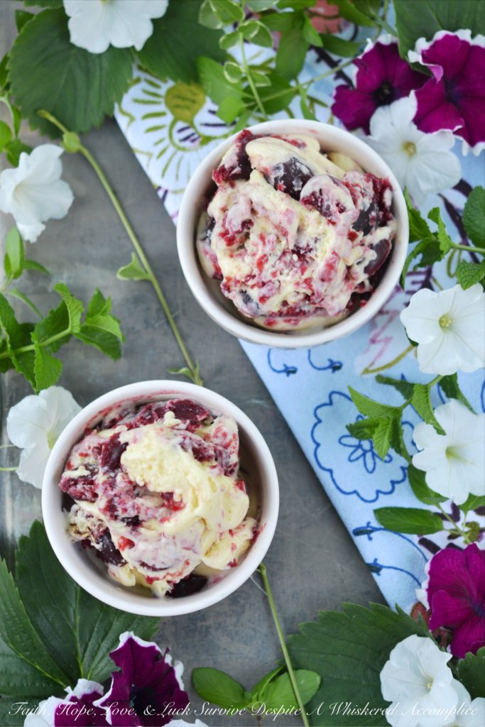 Cherry Graham Cracker Pie Frozen Custard - Cherry pie filling and crushed graham crackers help transform vanilla frozen custard into a creamy and delicious layered ice cream treat. Whether you use homemade or store-bought cherry pie filling, your family and friends will agree that this cherry pie frozen custard is a definite winner when it comes to summertime dessert recipes.