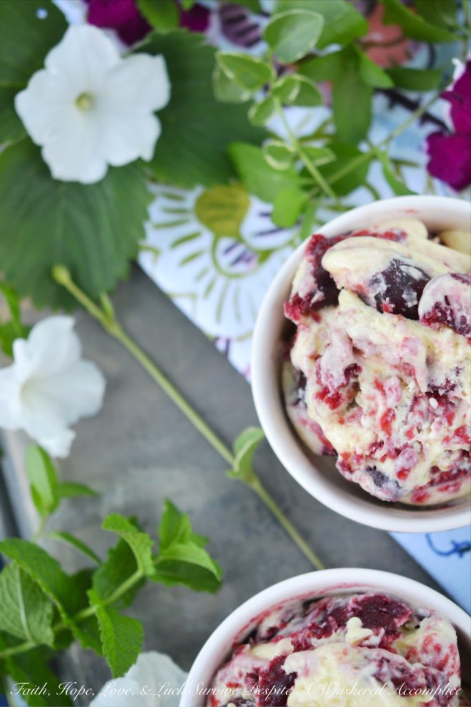 Cherry Graham Cracker Pie Frozen Custard - Cherry pie filling and crushed graham crackers help transform vanilla frozen custard into a creamy and delicious layered ice cream treat. Whether you use homemade or store-bought cherry pie filling, your family and friends will agree that this cherry pie frozen custard is a definite winner when it comes to summertime dessert recipes.