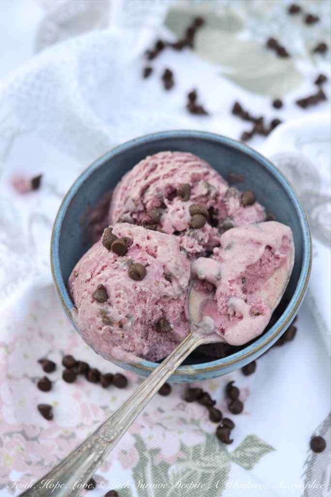 Blended Cherry Chocolate Chip Ice Cream - A simple, sweet, creamy, and decadent miniature chocolate chip-loaded ice cream using blended cherry pie filling, heavy cream, milk, vanilla, and sugar. This ice cream is fruity and chocolaty at the same time.