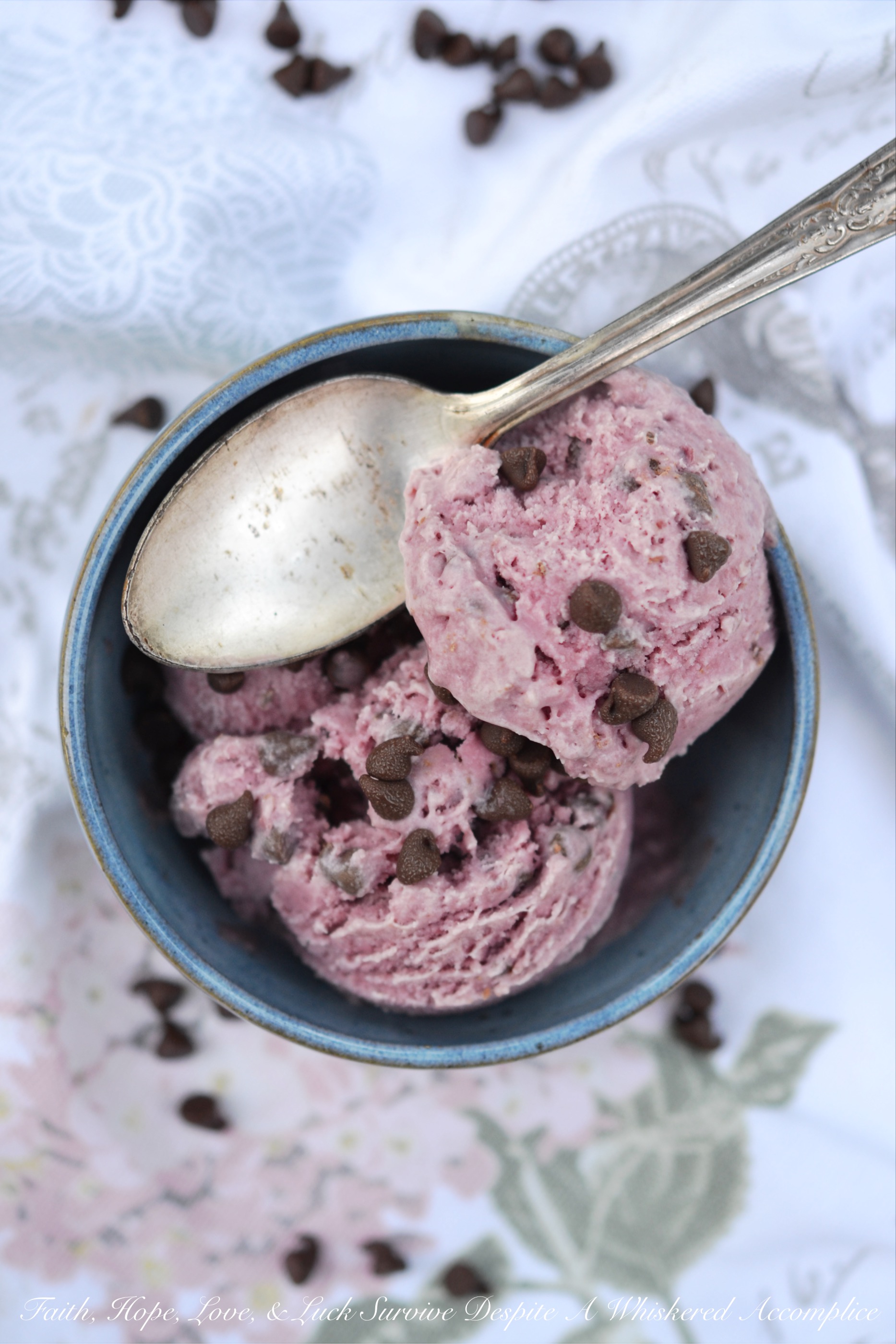 Blended Cherry Chocolate Chip Ice Cream