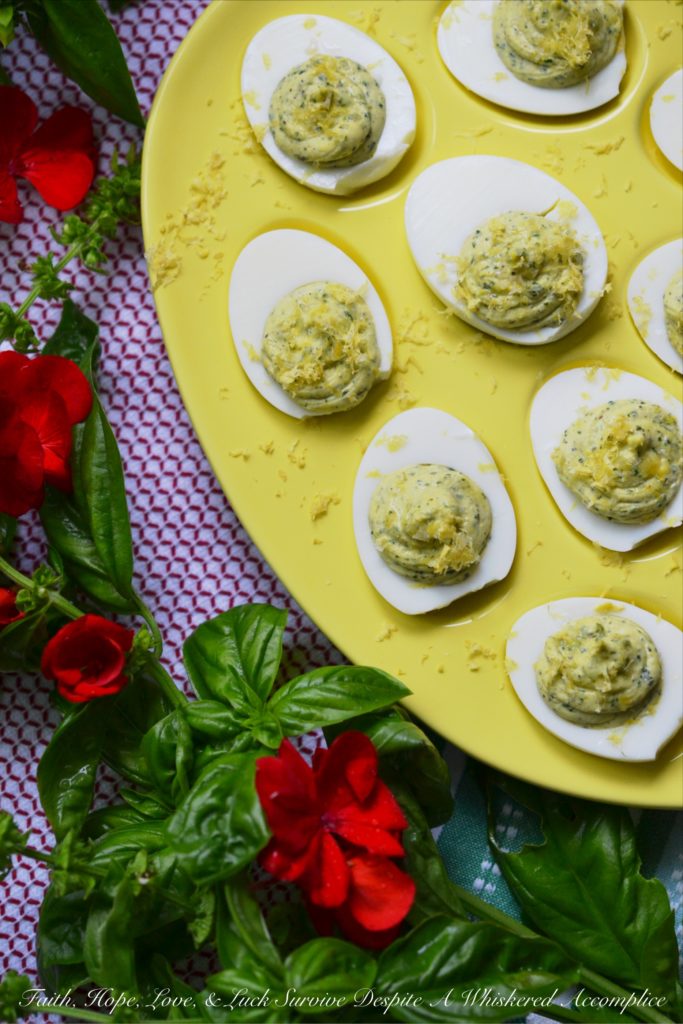 Lemon, Honey, and Fresh Basil Deviled Eggs - These aren't your grandma's deviled eggs. Imagine a burst of sunshine in every bite, thanks to the bright flavors of lemon, honey, and fresh basil. Perfectly balanced with creamy mayonnaise, a touch of Dijon mustard, and a sprinkle of salt and pepper, these deviled eggs are fresh, tangy, sweet, and utterly irresistible. Whether you're hosting a holiday gathering, planning a picnic, or firing up the grill for a barbecue, this recipe is guaranteed to be a hit.