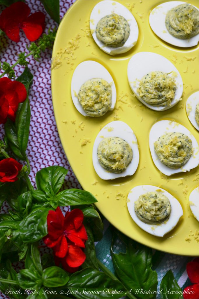 Lemon, Honey, and Fresh Basil Deviled Eggs - These aren't your grandma's deviled eggs. Imagine a burst of sunshine in every bite, thanks to the bright flavors of lemon, honey, and fresh basil. Perfectly balanced with creamy mayonnaise, a touch of Dijon mustard, and a sprinkle of salt and pepper, these deviled eggs are fresh, tangy, sweet, and utterly irresistible. Whether you're hosting a holiday gathering, planning a picnic, or firing up the grill for a barbecue, this recipe is guaranteed to be a hit.