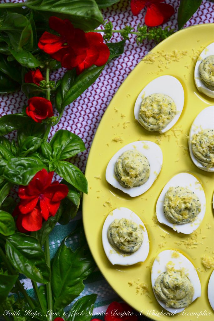 Lemon, Honey, and Fresh Basil Deviled Eggs - These aren't your grandma's deviled eggs. Imagine a burst of sunshine in every bite, thanks to the bright flavors of lemon, honey, and fresh basil. Perfectly balanced with creamy mayonnaise, a touch of Dijon mustard, and a sprinkle of salt and pepper, these deviled eggs are fresh, tangy, sweet, and utterly irresistible. Whether you're hosting a holiday gathering, planning a picnic, or firing up the grill for a barbecue, this recipe is guaranteed to be a hit.