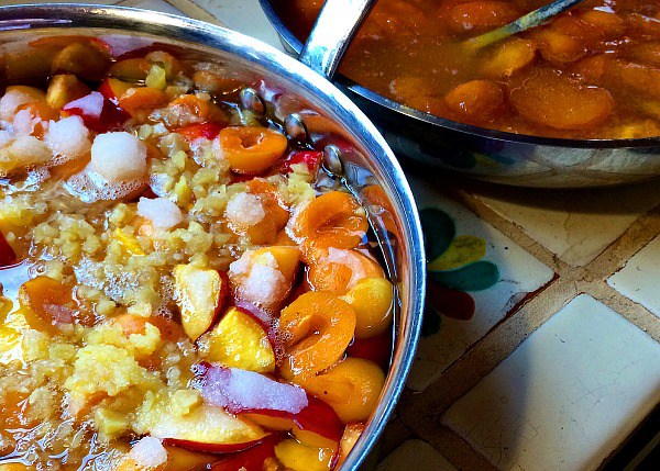 Nectarine Apricot Ginger Jam - Tall Clover Farm