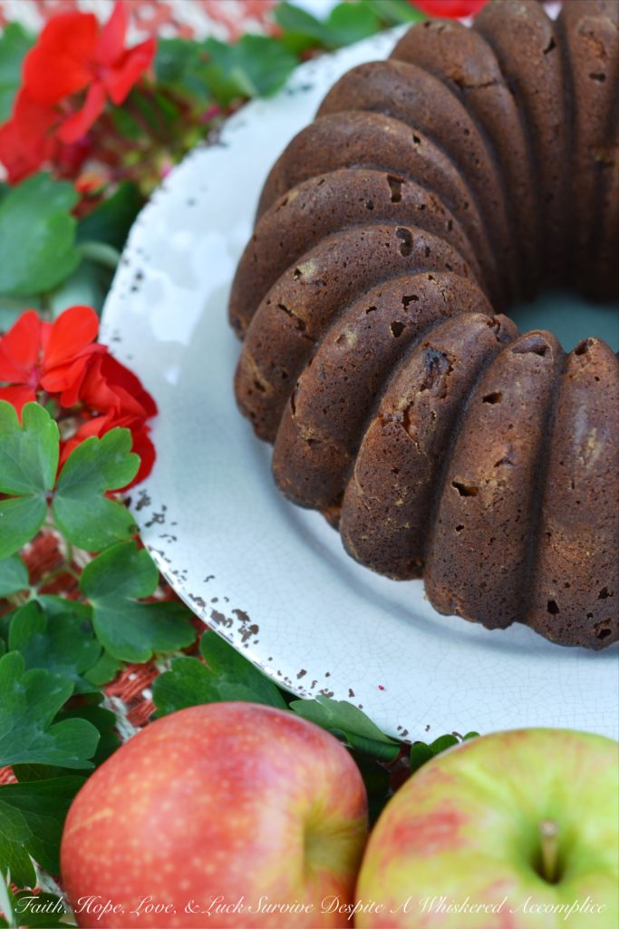 Autumn Honey Apple Bake & Slice Bundt Cake - A touch of honey and cinnamon paired with the taste of crisp autumn apples help to make this bake and slice Bundt cake a slightly sweet fall treat.