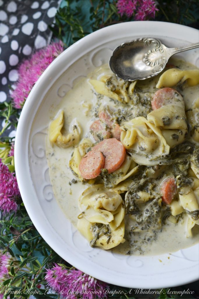 15-Minute Tortellini & Spinach Weeknight Soup - With just a few simple ingredients, including your favorite store-bought refrigerated cheese tortellini, you can have a satisfying and nutritious dinner on the table in as little as 15 minutes. Say goodbye to boring pasta meals and hello to a new favorite easy-to-make quick and delicious weeknight soup.