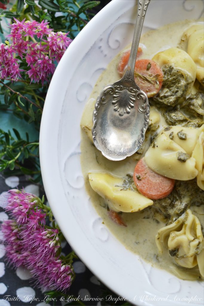 15-Minute Tortellini & Spinach Weeknight Soup - With just a few simple ingredients, including your favorite store-bought refrigerated cheese tortellini, you can have a satisfying and nutritious dinner on the table in as little as 15 minutes. Say goodbye to boring pasta meals and hello to a new favorite easy-to-make quick and delicious weeknight soup.