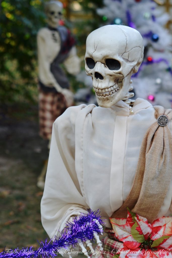 A sneak peak of the 2017 "The Nightmare Before Christmas" themed Scottish Skeleton Clan Army at The Historic Herndon Halloween House located in Herndon, VA.