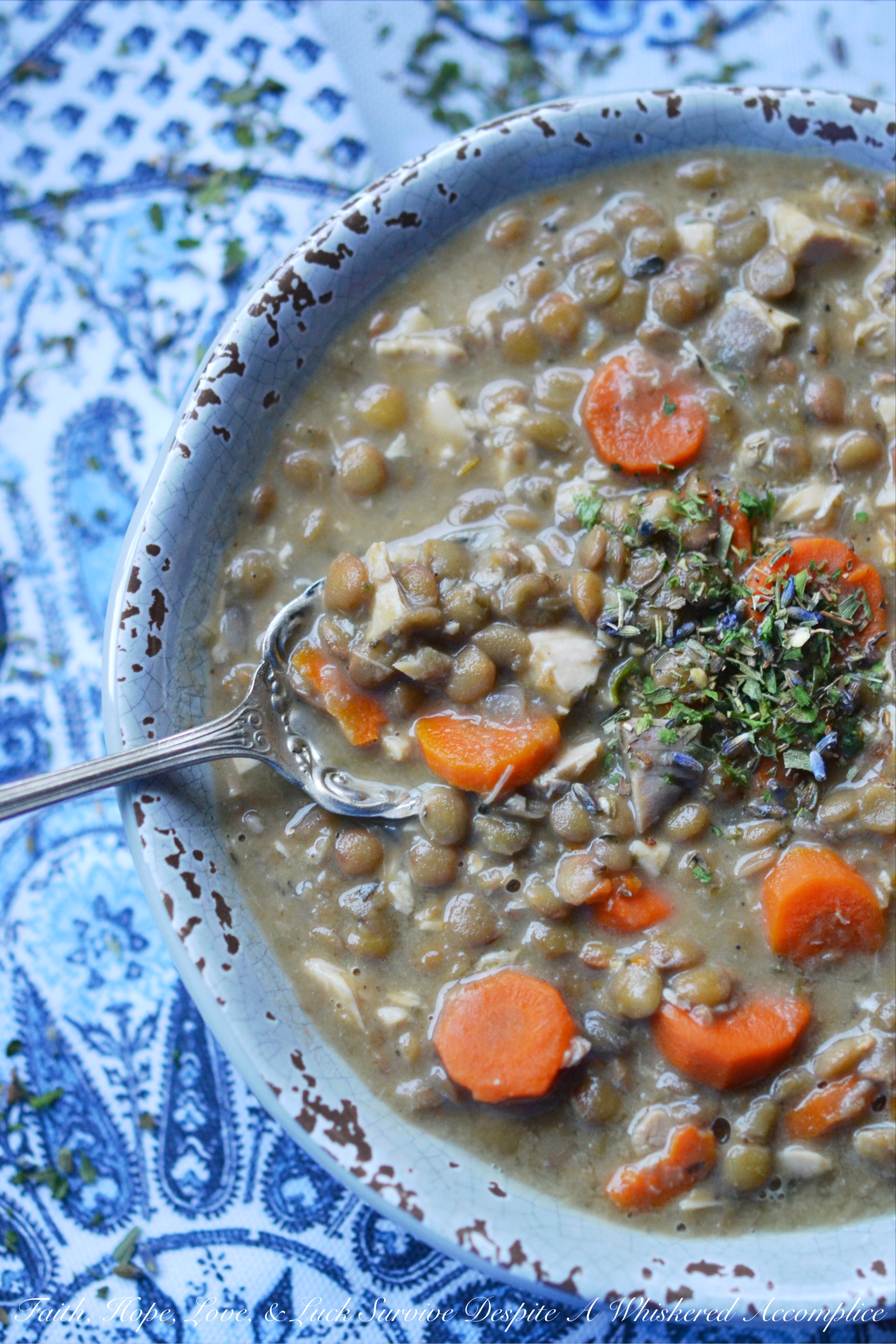 French Lentil and Carrot Crockpot Soup