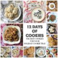 12 Days of Cookies - The 12 most unforgettable sweet, delicious, and absolutely gorgeous Christmas cookies to help your holiday cookie platter become a festive show-stopper.