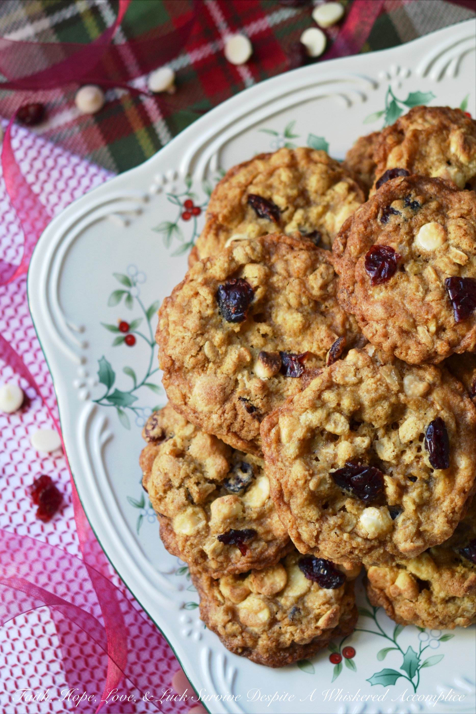 Cranberry Orange Cookies 