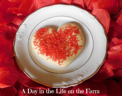 Cinnamon Heart Cookies - Celebrate the month of February with this Valentine's Day themed Recipe Round-Up. There's sure to be something your sweetheart will love.