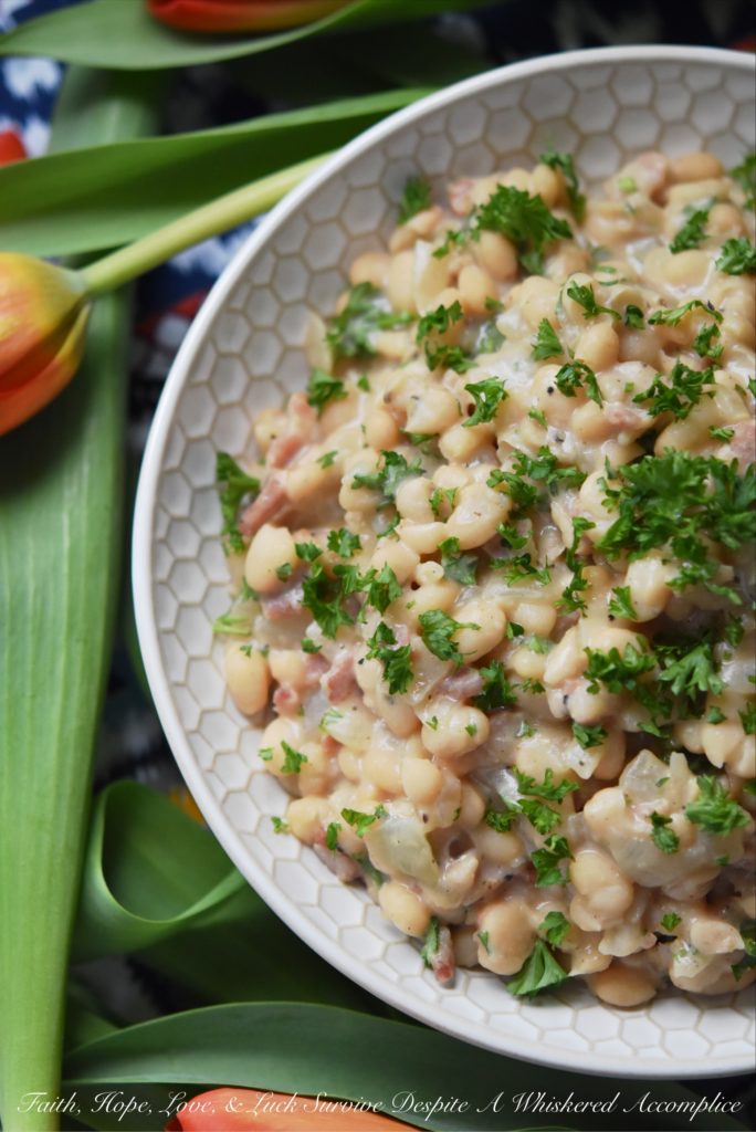 Creamy Southern Navy Beans with Bacon - While these creamy navy beans with bacon may take a little bit of time to make, either on a stovetop or with the help of a pressure cooker, they are more than worth the effort. I guarantee you're totally gonna fall in love with this flavorful southern side dish.