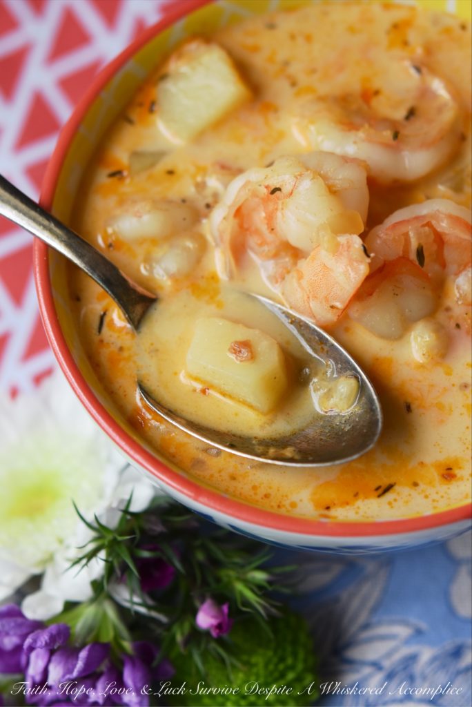 One-Pot Cajun Shrimp Chowder - Whether you find yourself craving a little taste of Mardi Gras, or maybe perhaps you’re just in the mood for a big, cozy bowl of spicy seafood goodness, this one-pot shrimp chowder is calling your name. It’s absolutely loaded with tender potatoes and juicy, plump shrimp, and every spoonful is creamy, spicy, and bursting with flavor. Trust us, if you’ve got a hankering for Cajun comfort food, this soup is about to become your new favorite. This chowder is going to have you coming back for seconds, possibly even thirds.