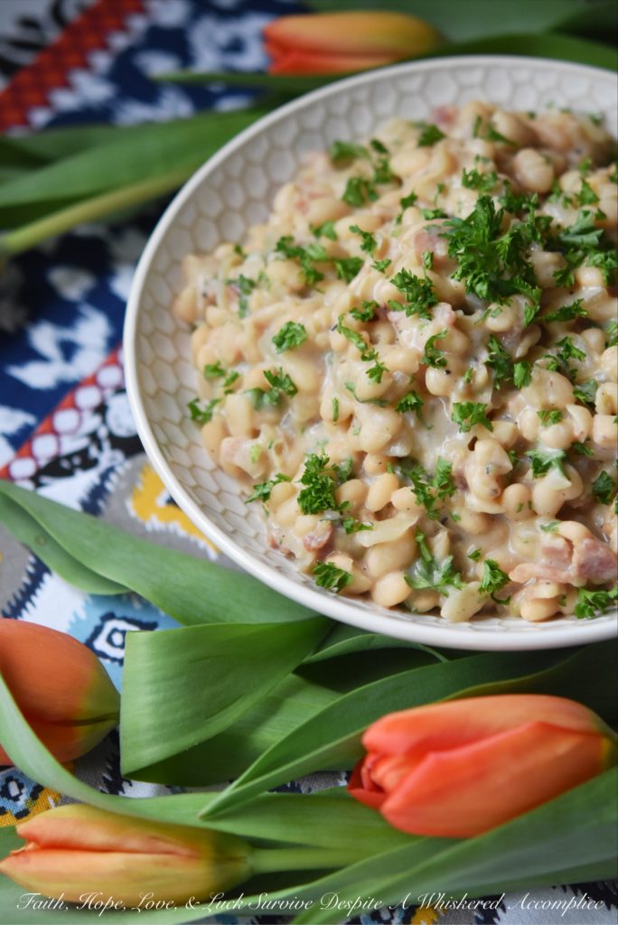 Creamy Southern Navy Beans with Bacon - While these creamy navy beans with bacon may take a little bit of time to make, either on a stovetop or with the help of a pressure cooker, they are more than worth the effort. I guarantee you're totally gonna fall in love with this flavorful southern side dish.