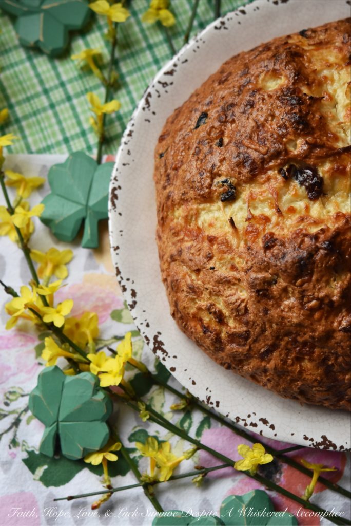 Irish Cheddar & Dried Cherry Soda Bread - This traditional Irish St. Patrick's Day-worthy soda bread gets a little something extra-special from the addition of shredded Irish cheddar cheese and tart dried cherries. Added bonus, there's no need to cut any butter into the dough either, which means that it's extremely quick to make and pop into the oven.