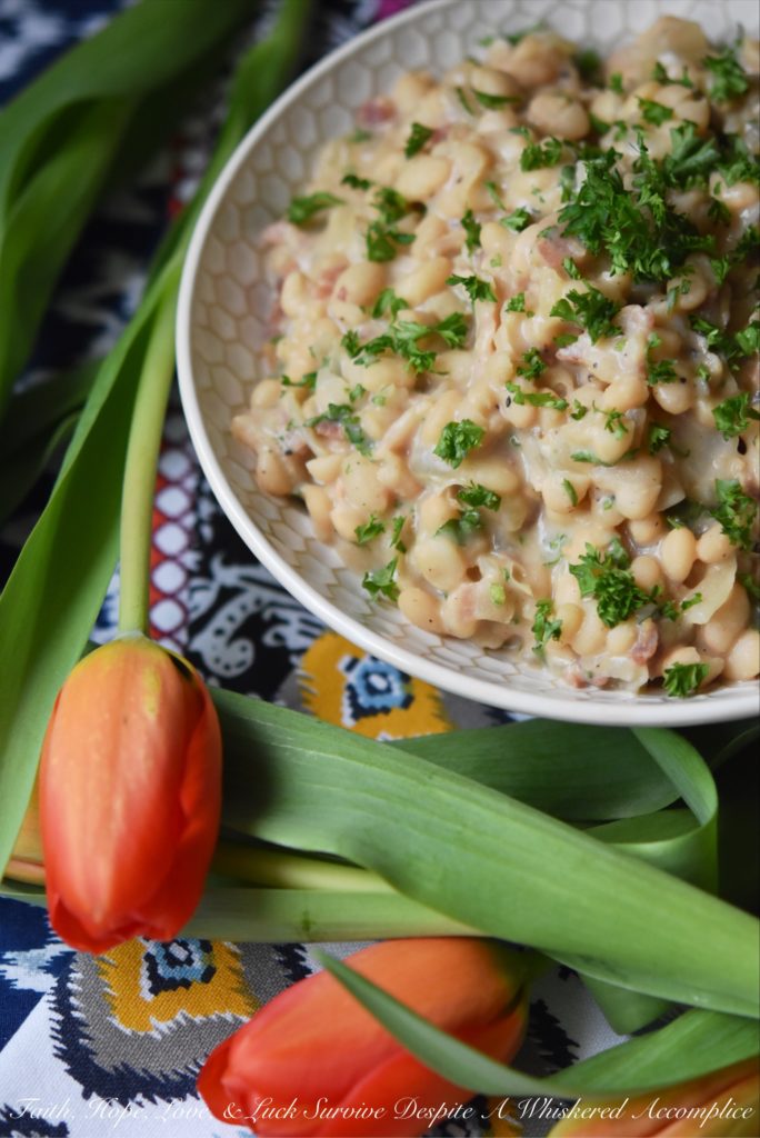 Creamy Southern Navy Beans with Bacon - While these creamy navy beans with bacon may take a little bit of time to make, either on a stovetop or with the help of a pressure cooker, they are more than worth the effort. I guarantee you're totally gonna fall in love with this flavorful southern side dish.