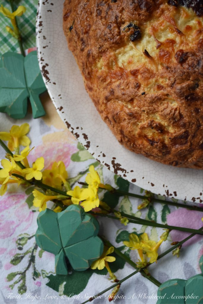 Irish Cheddar & Dried Cherry Soda Bread - This traditional Irish St. Patrick's Day-worthy soda bread gets a little something extra-special from the addition of shredded Irish cheddar cheese and tart dried cherries. Added bonus, there's no need to cut any butter into the dough either, which means that it's extremely quick to make and pop into the oven.