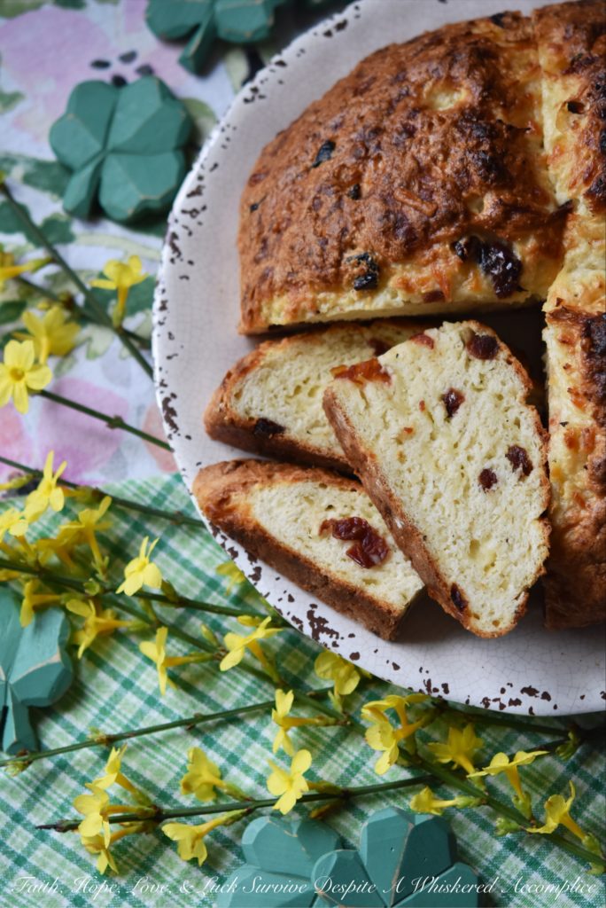 Irish Cheddar & Dried Cherry Soda Bread - This traditional Irish St. Patrick's Day-worthy soda bread gets a little something extra-special from the addition of shredded Irish cheddar cheese and tart dried cherries. Added bonus, there's no need to cut any butter into the dough either, which means that it's extremely quick to make and pop into the oven.