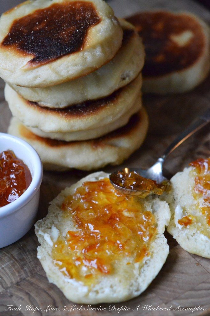 Treat your family to a new breakfast, side, dessert or main dish recipe. Let our most-loved and often requested family favorites become your new family favorites.