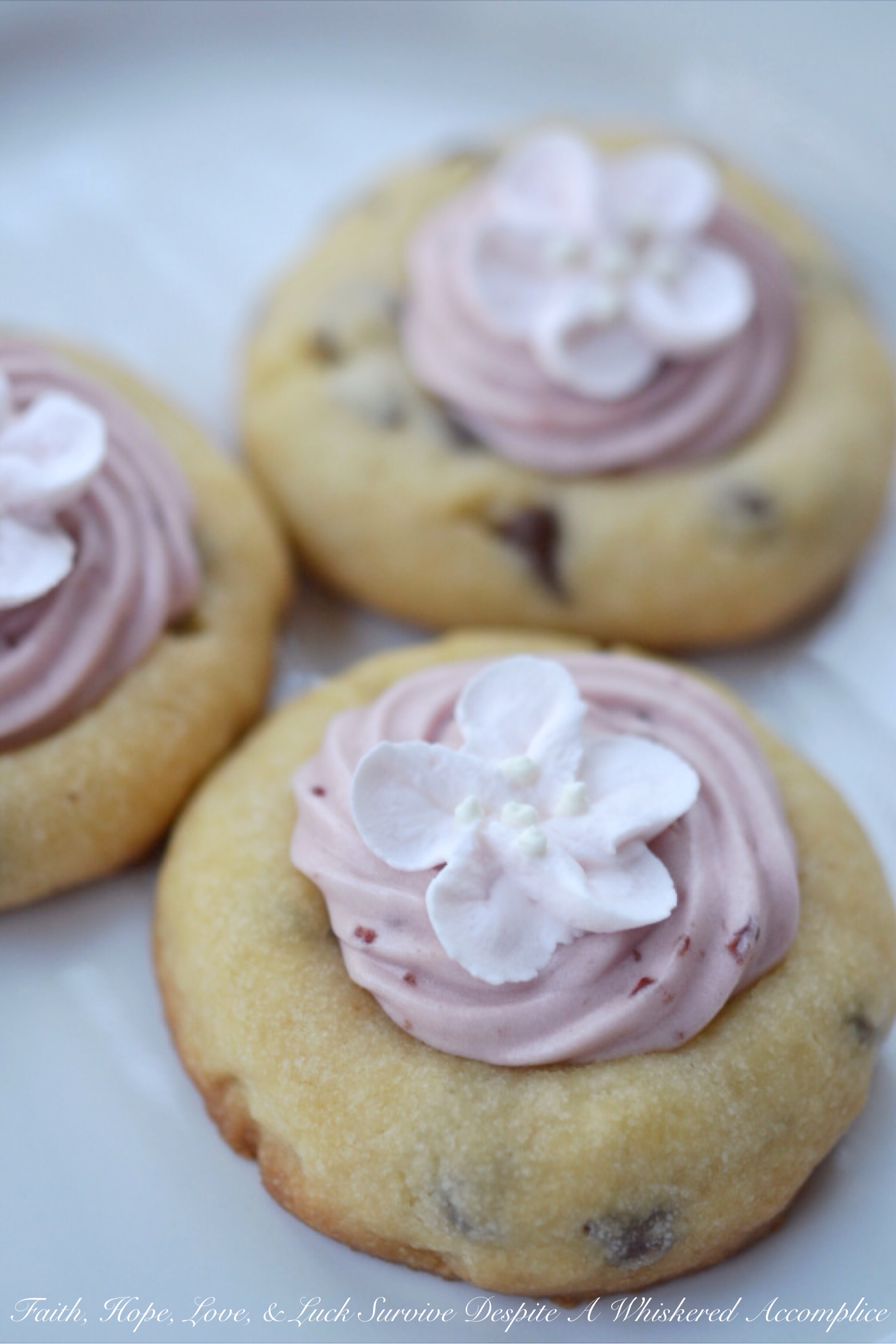 Cherry Blossoms (Thumbprint Cookies)