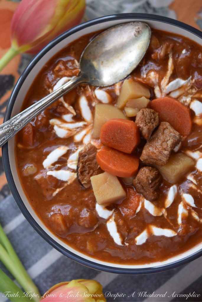 Veal Stew with Horseradish Cream Sauce - When the weather outside starts to feel like you’ve been plopped into the middle of a snow globe, it's normal to find yourself craving something warm, cozy, and just a little bit indulgent. This veal, carrot, and potato stew is a big, hearty hug in a bowl. And let’s not forget the crowning glory. A generous garnish of creamy, slightly spicy horseradish sour cream sauce swirled on top. With a bowl of this in hand, you might just start wishing winter would stick around a little longer.