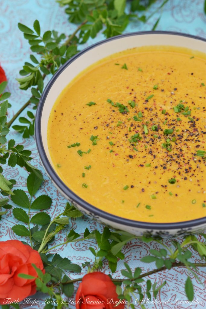 French Cream of Carrot Soup - This vibrant creamy soup recipe made using Herbes de Provence, carrots, milk, and cream is super flavorful without using a ton of ingredients. It's also a great way to turn carrots into a main dish without a lot of work involved.