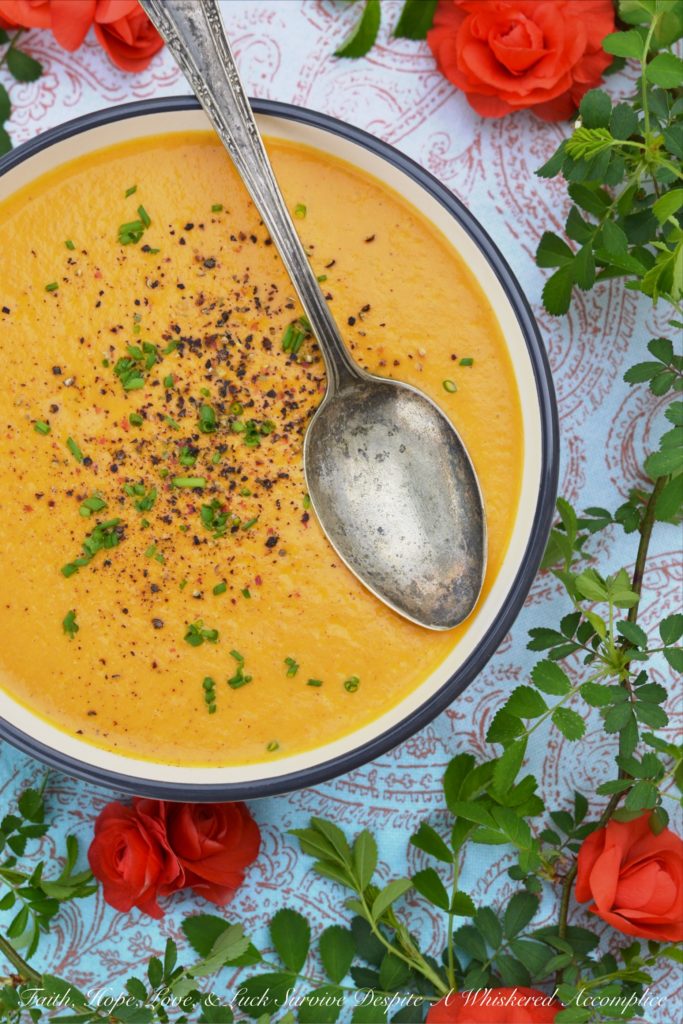 French Cream of Carrot Soup - This vibrant creamy soup recipe made using Herbes de Provence, carrots, milk, and cream is super flavorful without using a ton of ingredients. It's also a great way to turn carrots into a main dish without a lot of work involved.
