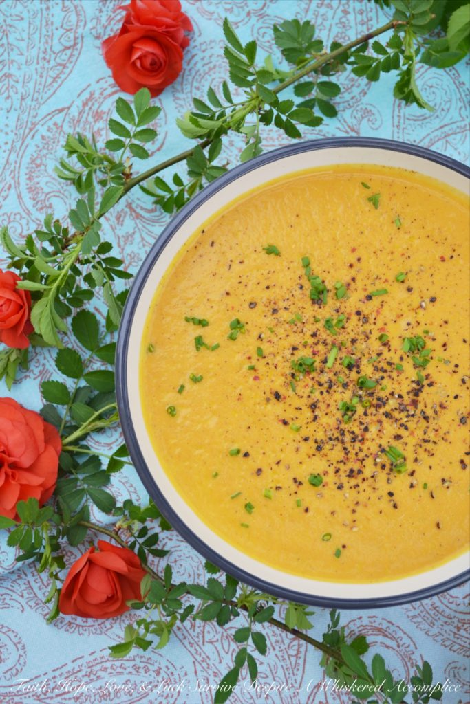 French Cream of Carrot Soup - This vibrant creamy soup recipe made using Herbes de Provence, carrots, milk, and cream is super flavorful without using a ton of ingredients. It's also a great way to turn carrots into a main dish without a lot of work involved.
