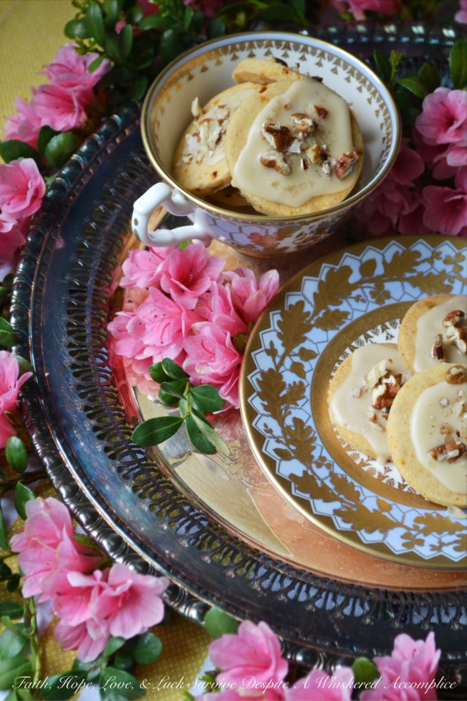Kentucky Bourbon Pecan Chile Shortbread - A ground guajillo chile and a touch of Kentucky bourbon help to make these crumbly buttery shortbread cookies a tea-time treat you won't soon forget. And as if that weren't enough, a drizzle of vanilla bourbon glaze, a sprinkle of finely chopped pecans, and the littlest pinch of Fleur de Sel help to transform these flavorful shortbread cookies into something even more magical.