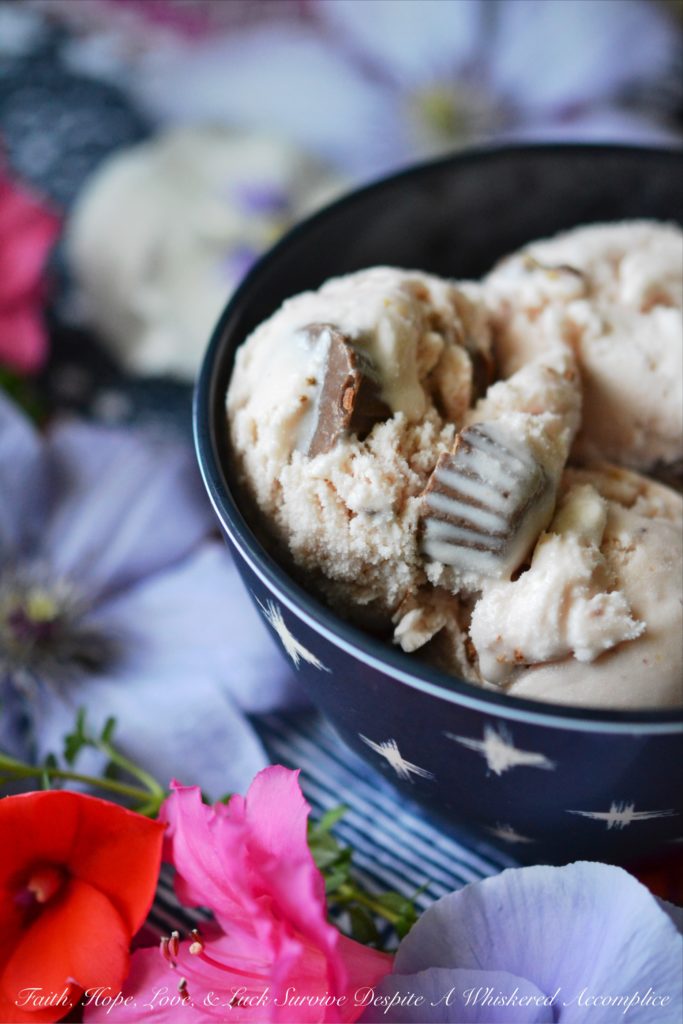 30-Minute Strawberry Reese's Ice Cream - This four-ingredient ice cream can be made in 30 minutes with a little bit of help from your ice cream machine. By using strawberry preserves, there is no need to wait for any sugar to dissolve, which means that you can have delicious homemade ice cream in almost no time at all. Strawberry ice cream and Reese's Peanut Butter Cups Minis truly do make the perfect combination in this sweet homemade frozen dessert treat.