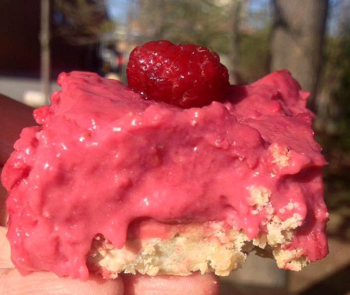 Lemon Raspberry Bars - Pies & Prejudice - This month we're sharing our best and our absolute favorite recipes for dads in our June monthly recipe round-up. You're sure to find just the right recipe to make for your father this Father's Day.
