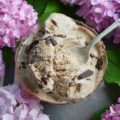 Chocolate Cinnamon Blender Ice Cream - With the aid of a blender, making homemade ice cream couldn't get any easier. Simply throw all of the ingredients into a blender, blend until smooth, and then churn in your ice cream machine until almost done. Add in a little bit of shaved chocolate, churn for an additional few minutes, and then you'll have the best chocolate cinnamon ice cream you've ever tasted.