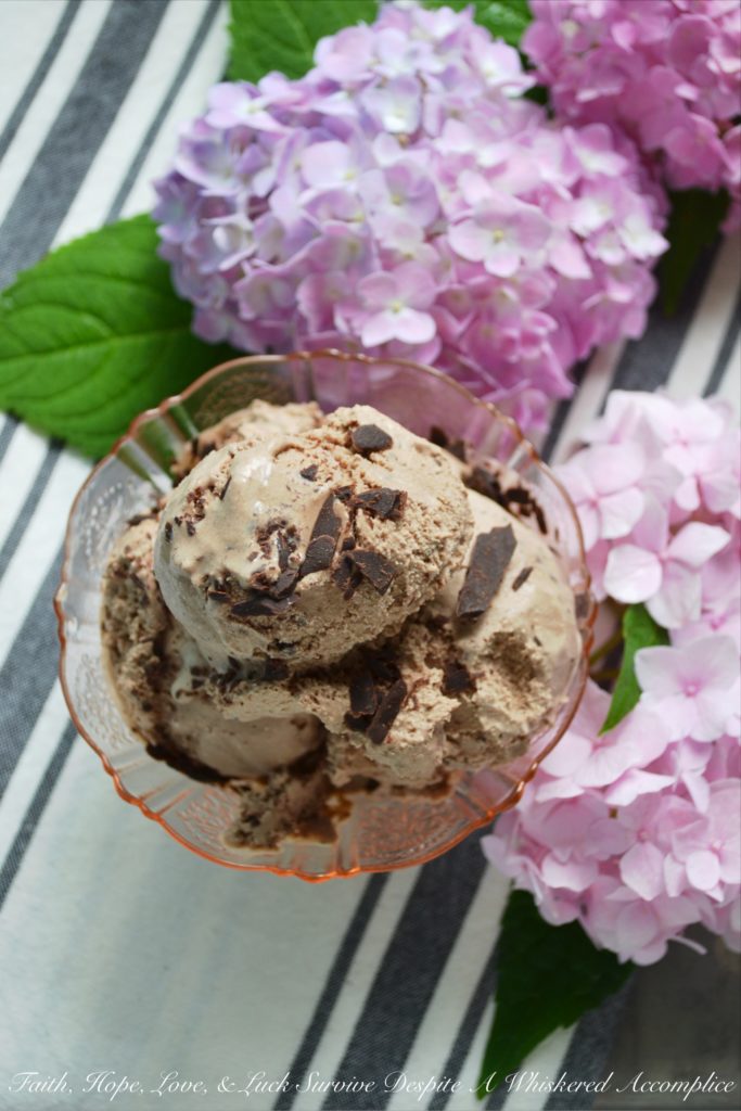 Chocolate Cinnamon Blender Ice Cream - With the aid of a blender, making homemade ice cream couldn't get any easier. Simply throw all of the ingredients into a blender, blend until smooth, and then churn in your ice cream machine until almost done. Add in a little bit of shaved chocolate, churn for an additional few minutes, and then you'll have the best chocolate cinnamon ice cream you've ever tasted.