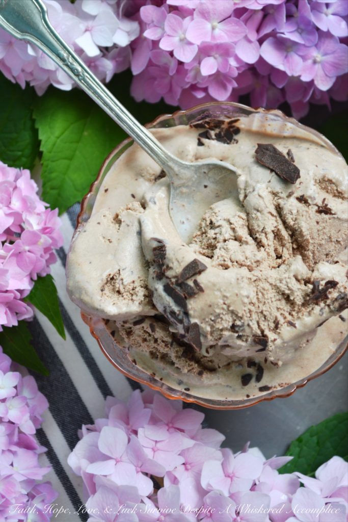 Chocolate Cinnamon Blender Ice Cream - With the aid of a blender, making homemade ice cream couldn't get any easier. Simply throw all of the ingredients into a blender, blend until smooth, and then churn in your ice cream machine until almost done. Add in a little bit of shaved chocolate, churn for an additional few minutes, and then you'll have the best chocolate cinnamon ice cream you've ever tasted.