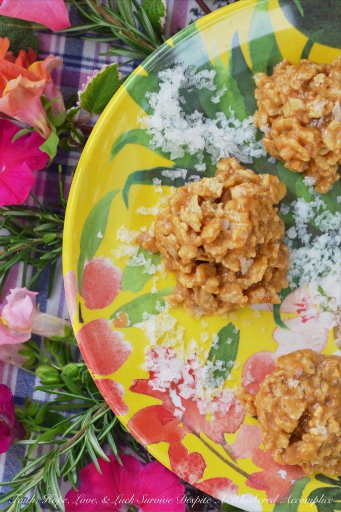 No-Bake Peanut Butter Rice Cereal Cookies - With this no-bake recipe, you can now have cookies in your house in under five minutes. A whole two to three minutes spent in front of a stove stirring sugar, corn syrup, and coconut oil or butter together is all that's required. Two to three minutes isn't even enough time in front of a stove to break a sweat and you'll be shocked at just how amazing these peanut butter and rice cereal cookies taste.