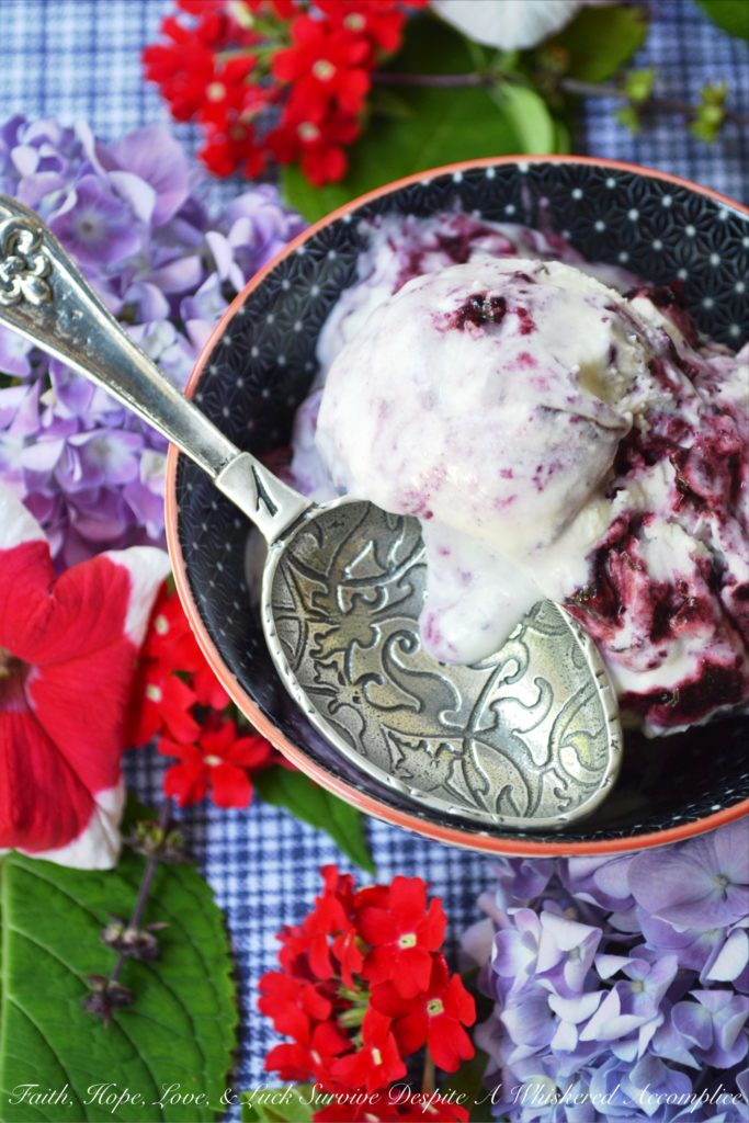 Red, White, & Blue Ricotta Ice Cream - This summer, celebrate the 4th of July with red, white, and blue ice cream made using ricotta, milk, and heavy whipping cream. Swirl in homemade blueberry sauce and finely chopped fresh cherries to create a patriotic dessert your entire family will enjoy.