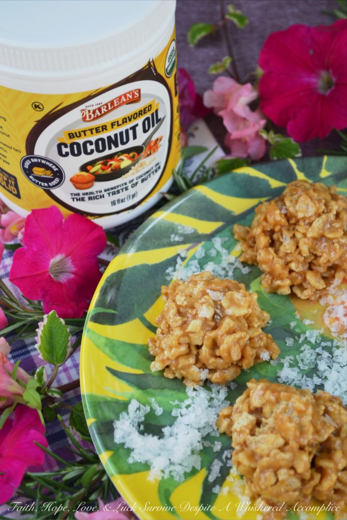 No-Bake Peanut Butter Rice Cereal Cookies - With this no-bake recipe, you can now have cookies in your house in under five minutes. A whole two to three minutes spent in front of a stove stirring sugar, corn syrup, and coconut oil or butter together is all that's required. Two to three minutes isn't even enough time in front of a stove to break a sweat and you'll be shocked at just how amazing these peanut butter and rice cereal cookies taste.