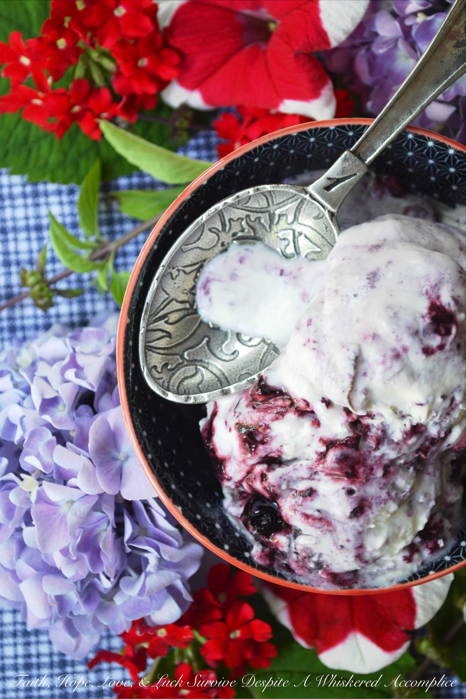 Red, White, & Blue Ricotta Ice Cream