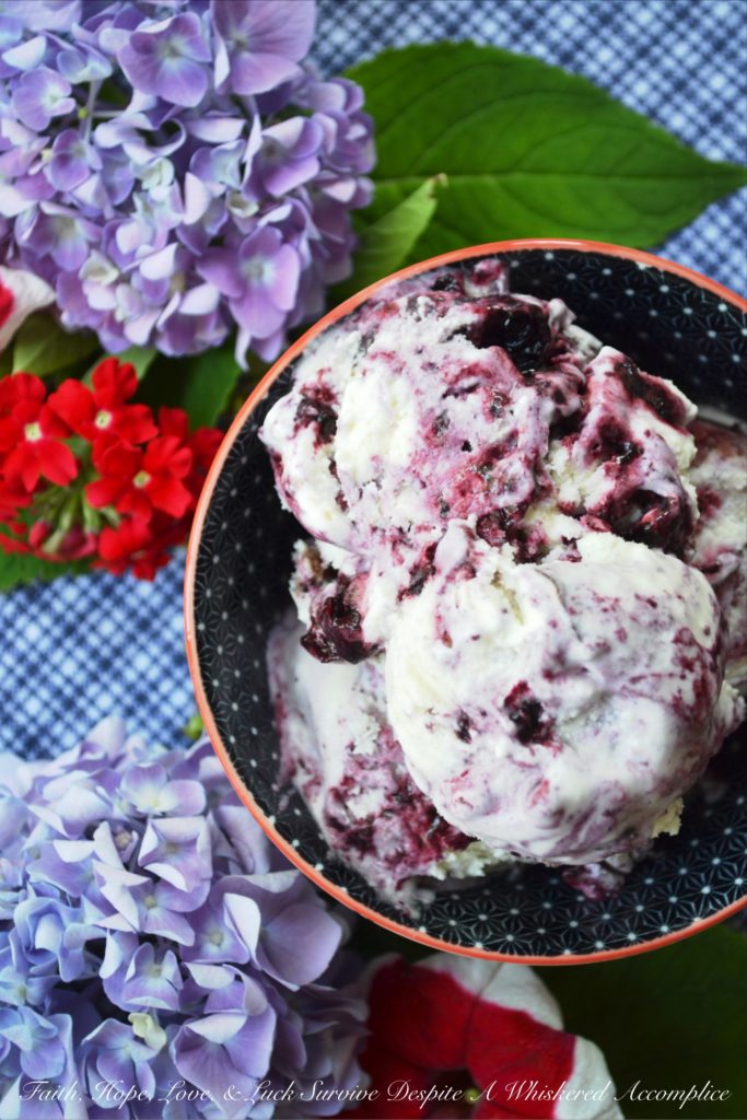 Red, White, & Blue Ricotta Ice Cream - This summer, celebrate the 4th of July with red, white, and blue ice cream made using ricotta, milk, and heavy whipping cream. Swirl in homemade blueberry sauce and finely chopped fresh cherries to create a patriotic dessert your entire family will enjoy.