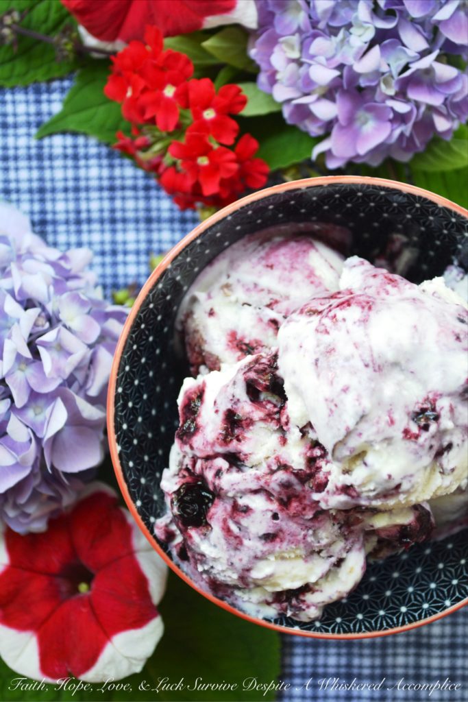 Red, White, & Blue Ricotta Ice Cream - This summer, celebrate the 4th of July with red, white, and blue ice cream made using ricotta, milk, and heavy whipping cream. Swirl in homemade blueberry sauce and finely chopped fresh cherries to create a patriotic dessert your entire family will enjoy.
