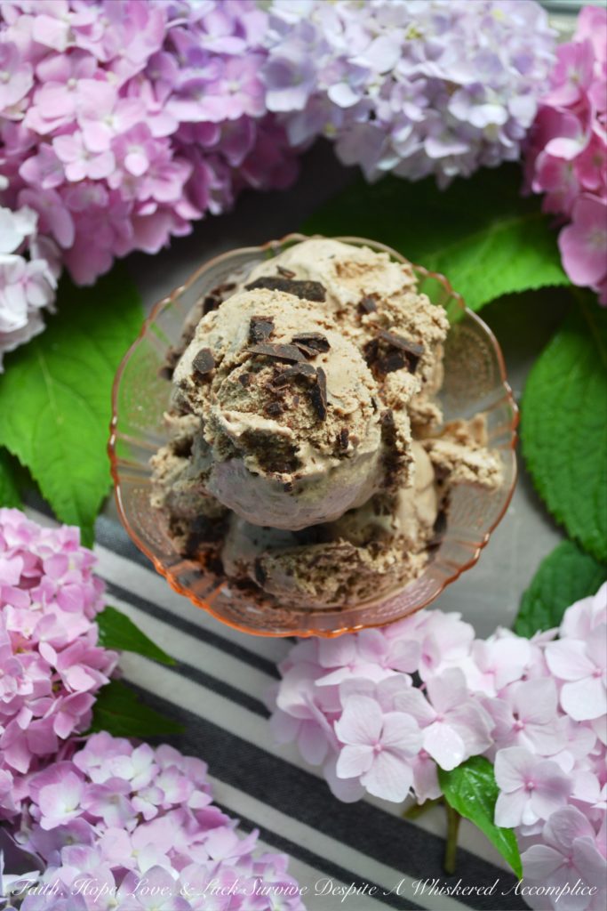 Chocolate Cinnamon Blender Ice Cream - With the aid of a blender, making homemade ice cream couldn't get any easier. Simply throw all of the ingredients into a blender, blend until smooth, and then churn in your ice cream machine until almost done. Add in a little bit of shaved chocolate, churn for an additional few minutes, and then you'll have the best chocolate cinnamon ice cream you've ever tasted.
