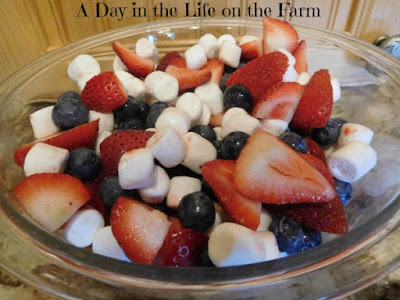 Red, White and Blue Fruit Salad - A Day in the Life on the Farm - The month of July is all about summer cookouts, picnics, and barbecues. We're sharing our favorite red, white, and blue patriotic themed recipes to help get you in the 4th of July spirit.