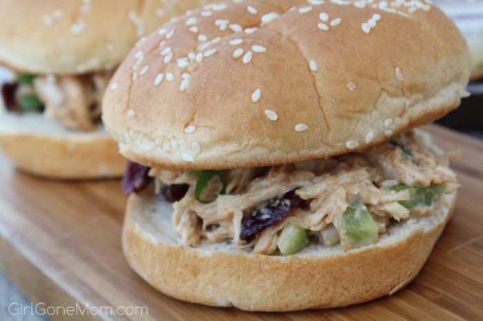 Chilled Barbecue Chicken Salad Sandwiches - Girl Gone Mom - August 2018 Recipe Round-Up - For the month of August, we're sharing all of our favorite summertime recipes to make for a backyard barbecue, picnic, or cookout. After all, the warm summer weather won't stick around forever, so we need to spend as much time outdoors as possible before autumn arrives.