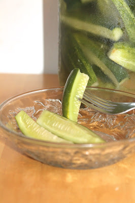 Deli-Style Refrigerator Dill Pickles - Savory Moments - August 2018 Recipe Round-Up - For the month of August, we're sharing all of our favorite summertime recipes to make for a backyard barbecue, picnic, or cookout. After all, the warm summer weather won't stick around forever, so we need to spend as much time outdoors as possible before autumn arrives.