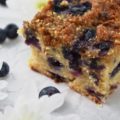 Fresh Blueberry Streusel Topped Crumb Cake - This moist crumb cake is loaded with fresh blueberries and topped with a light streusel topping containing salted pumpkin seeds and brown sugar. I'll leave it up to you whether or not you should eat it for breakfast or for dessert. No matter how you choose to enjoy it, I'm pretty sure you're going to be delighted with its incredible taste and crumbly texture.