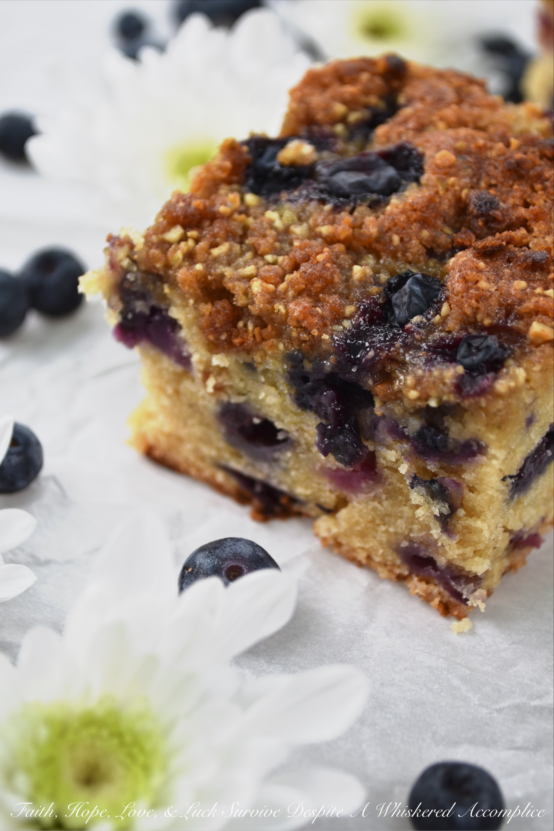 Fresh Blueberry Streusel Topped Crumb Cake - This moist crumb cake is loaded with fresh blueberries and topped with a light streusel topping containing salted pumpkin seeds and brown sugar. I'll leave it up to you whether or not you should eat it for breakfast or for dessert. No matter how you choose to enjoy it, I'm pretty sure you're going to be delighted with its incredible taste and crumbly texture.