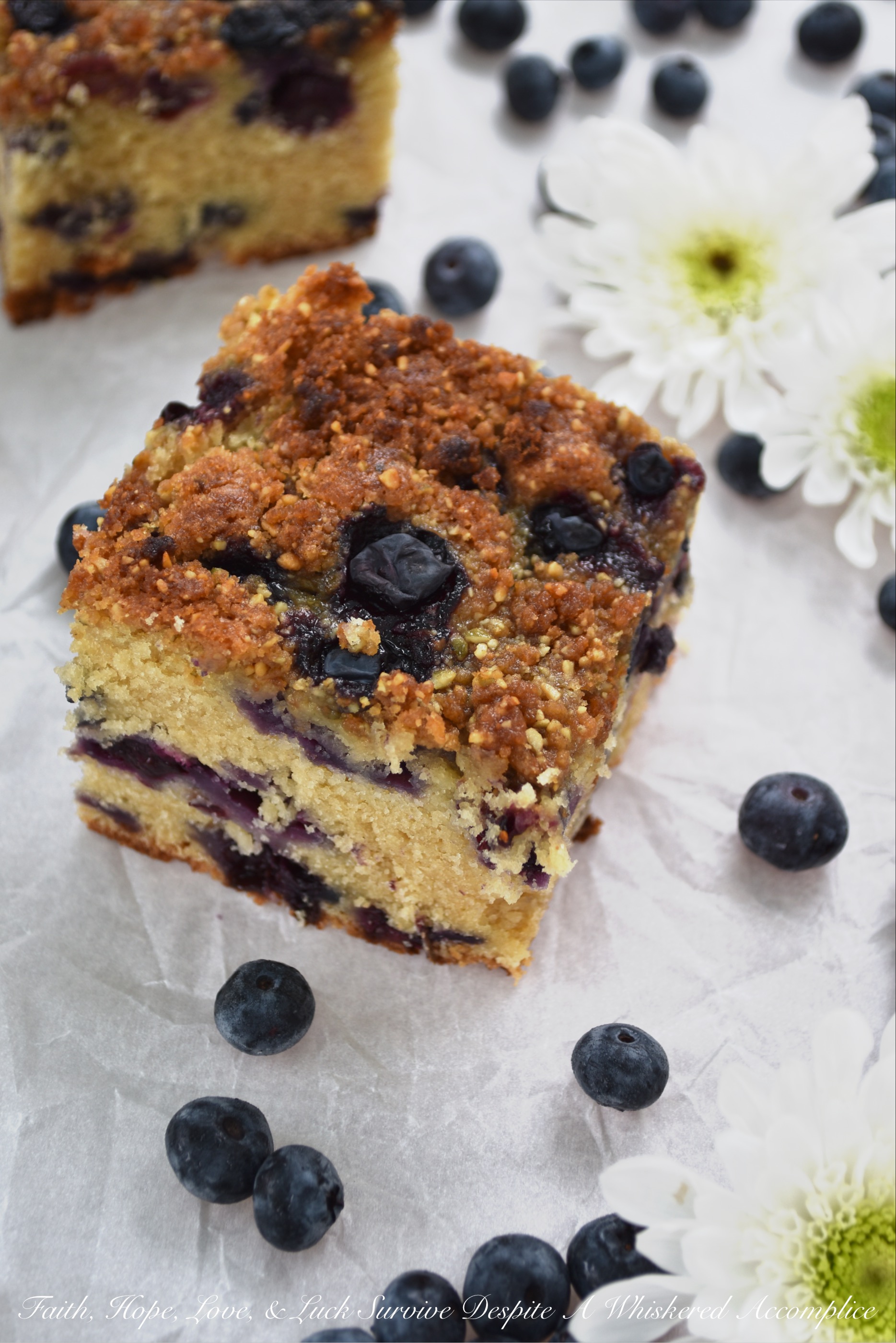 Fresh Blueberry Streusel Topped Crumb Cake - This moist crumb cake is loaded with fresh blueberries and topped with a light streusel topping containing salted pumpkin seeds and brown sugar. I'll leave it up to you whether or not you should eat it for breakfast or for dessert. No matter how you choose to enjoy it, I'm pretty sure you're going to be delighted with its incredible taste and crumbly texture.