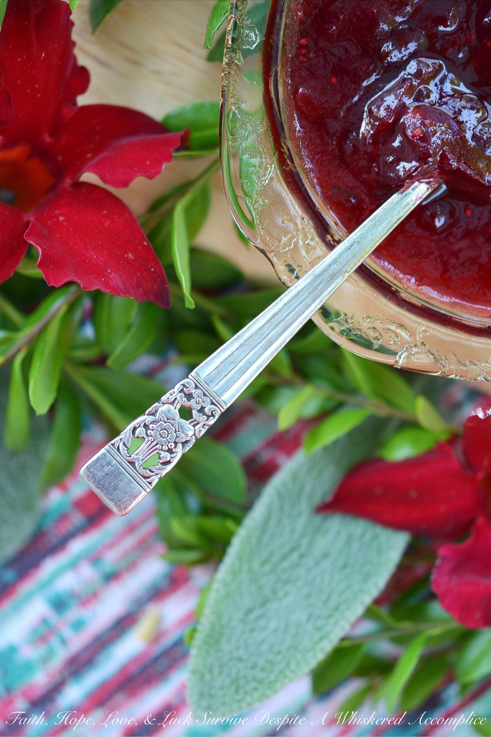 Sweet & Spicy Cranberry Jalapeño Jam Sauce - This sweet and spicy jam sauce, made with frozen cranberries and finely diced jalapenos, can be used to flavor so many recipes. Pour it over cream cheese then serve with crackers for a fast and flavorful appetizer, mix it into your favorite cocktail in lieu of simple syrup, or even use it to kick up the flavor of your favorite crockpot meatballs. Whichever way you choose to use it, I know you're going to simply adore this cranberry jalapeño jam sauce.